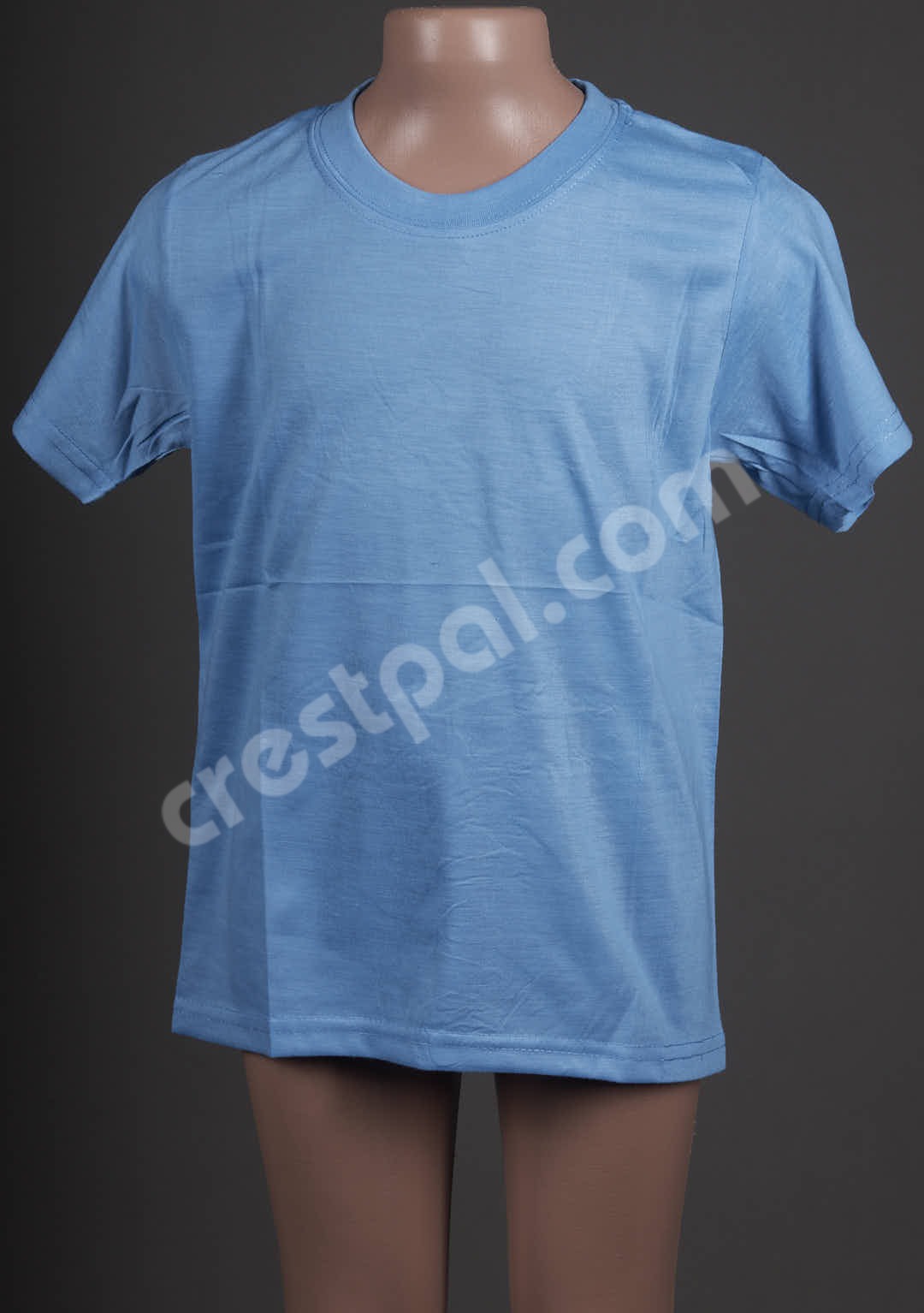 Kids Roundneck Sky Blue — front view on display form