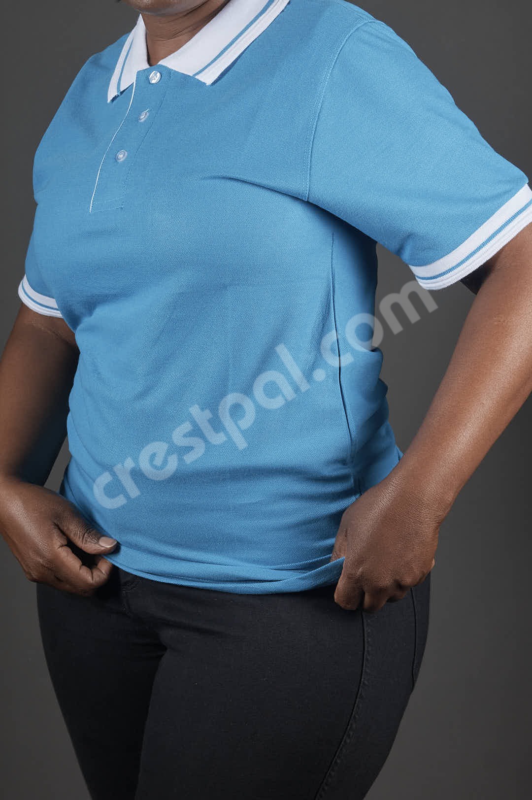 Polo Sky Blue White Collar Pilot Plus — collar and placket detail
